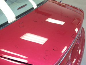Hail Damage 2